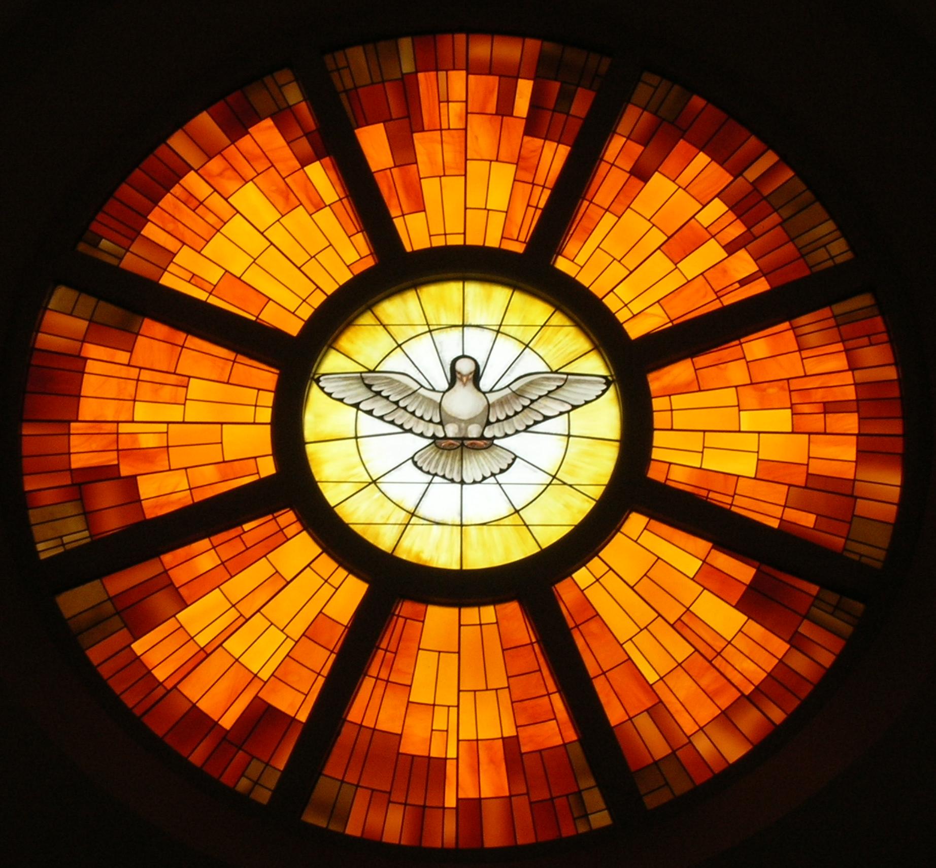 stained glass of holy spirit as dove
