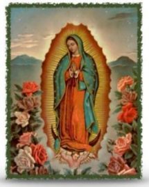 Celebration in honor of the Virgin of Guadalupe